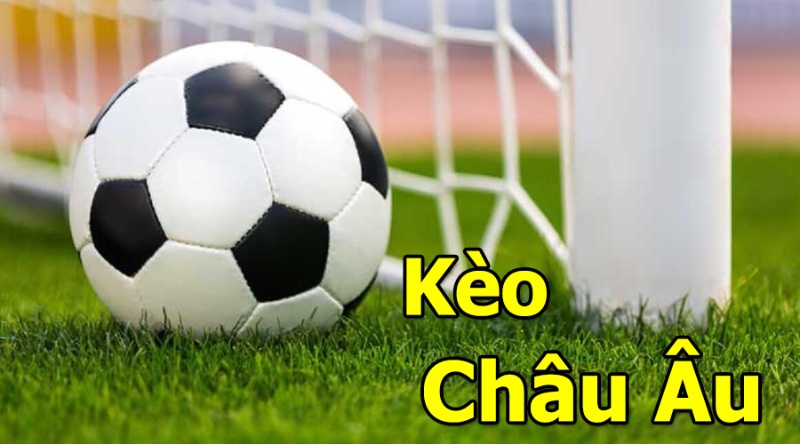Nhà cái kimsa bật mí cách đọc kèo Châu Âu