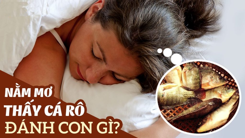 Kimsa88 giải mã giấc mơ thấy cá rô nên đánh con gì?